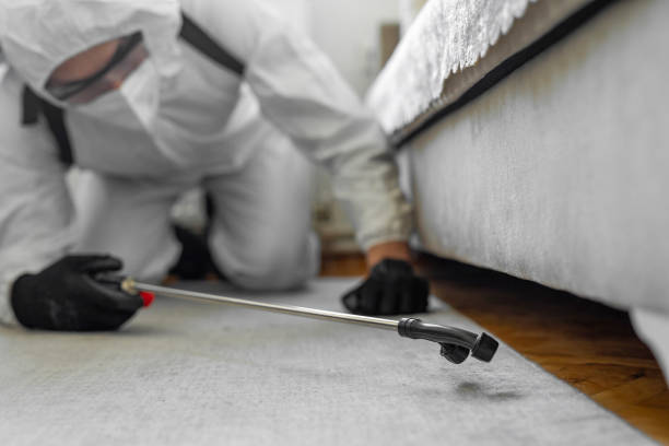 Professional Pest Control technician working in Baldwinsville, NY