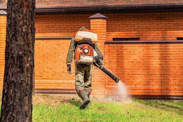Trusted Mosquito Control service in Baldwinsville, NY - Nex Pest Control